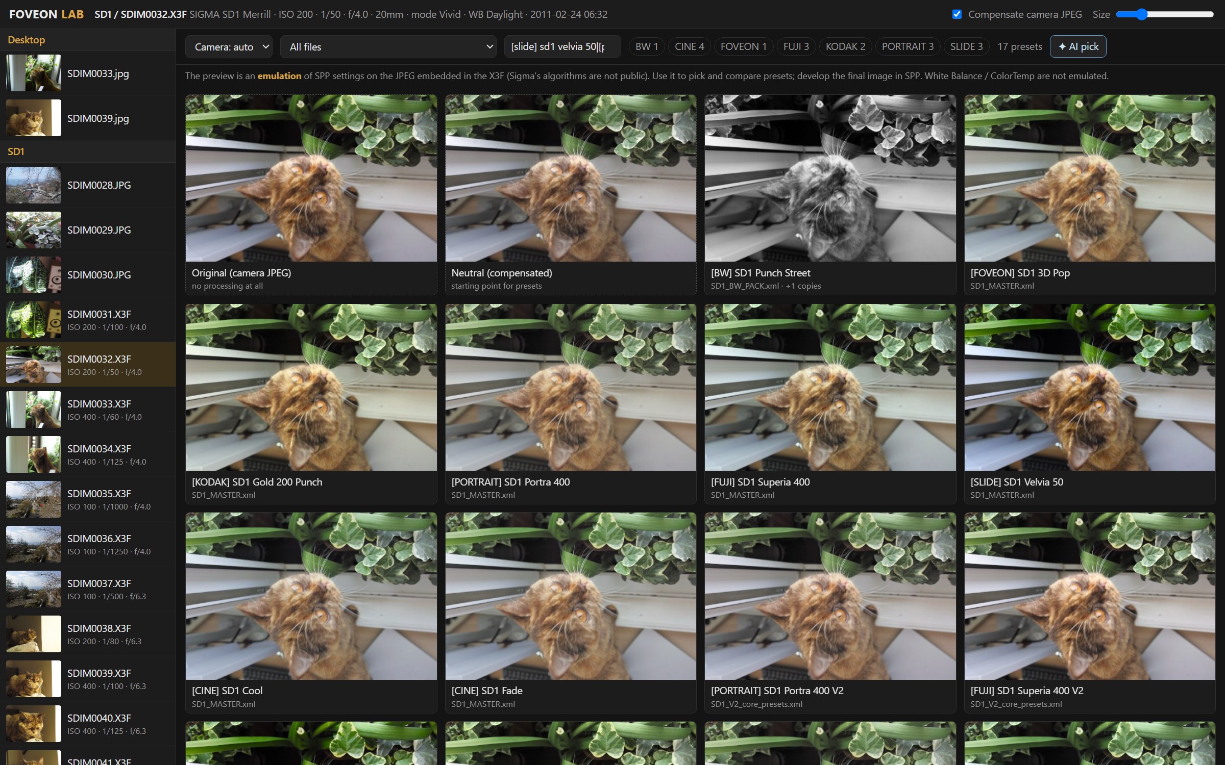 Foveon Lab: one SD1 Merrill photo rendered through ten SPP presets side by side