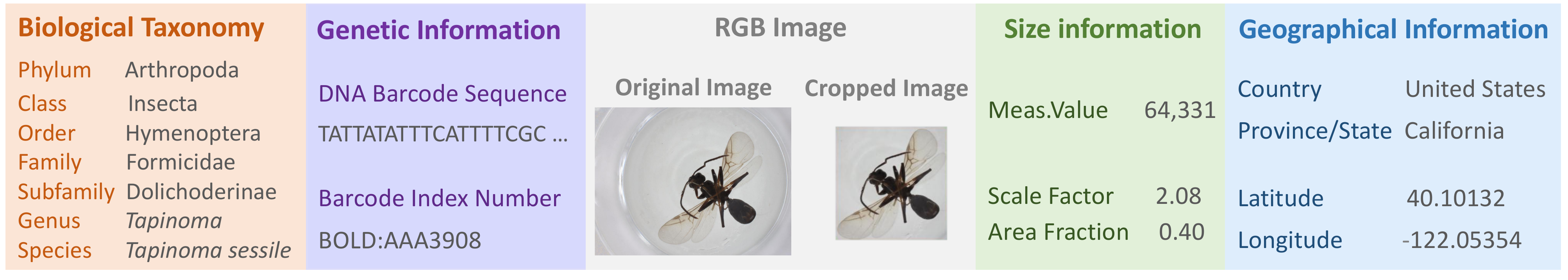 An example record from the BIOSCAN-5M dataset