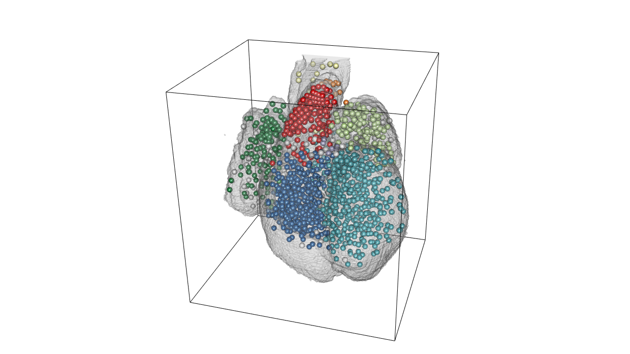 Showing spots in 3D.