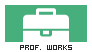 Logo Professional Works