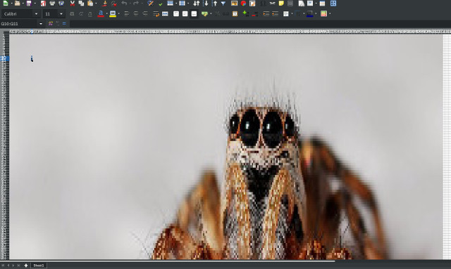 Picture of a nice spider inside an excel spreadsheet