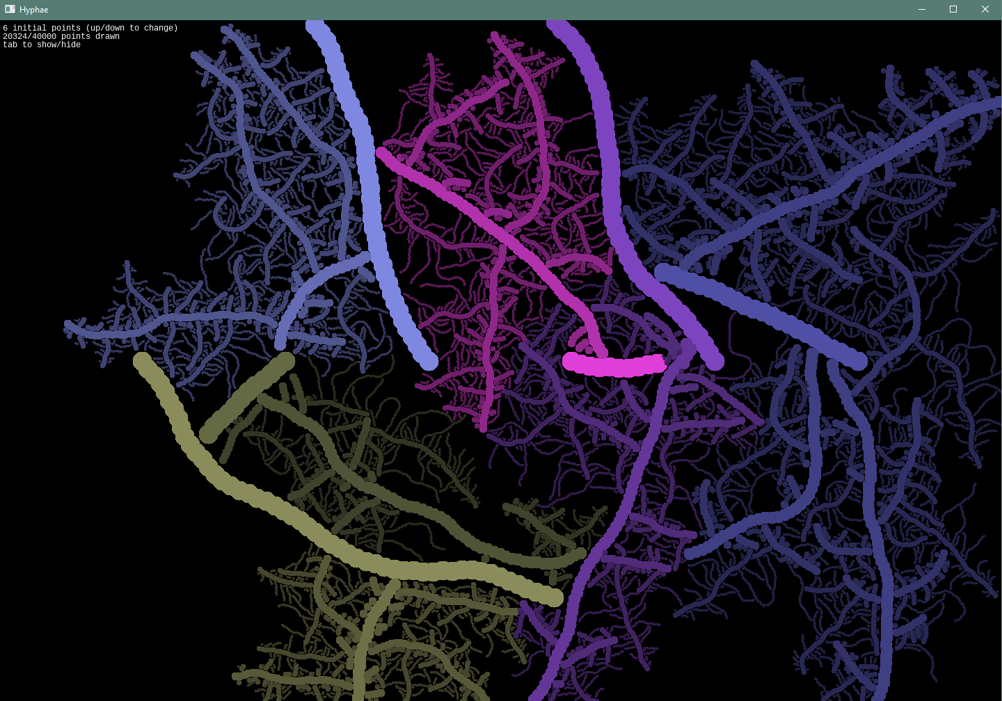 Hyphae diagram example