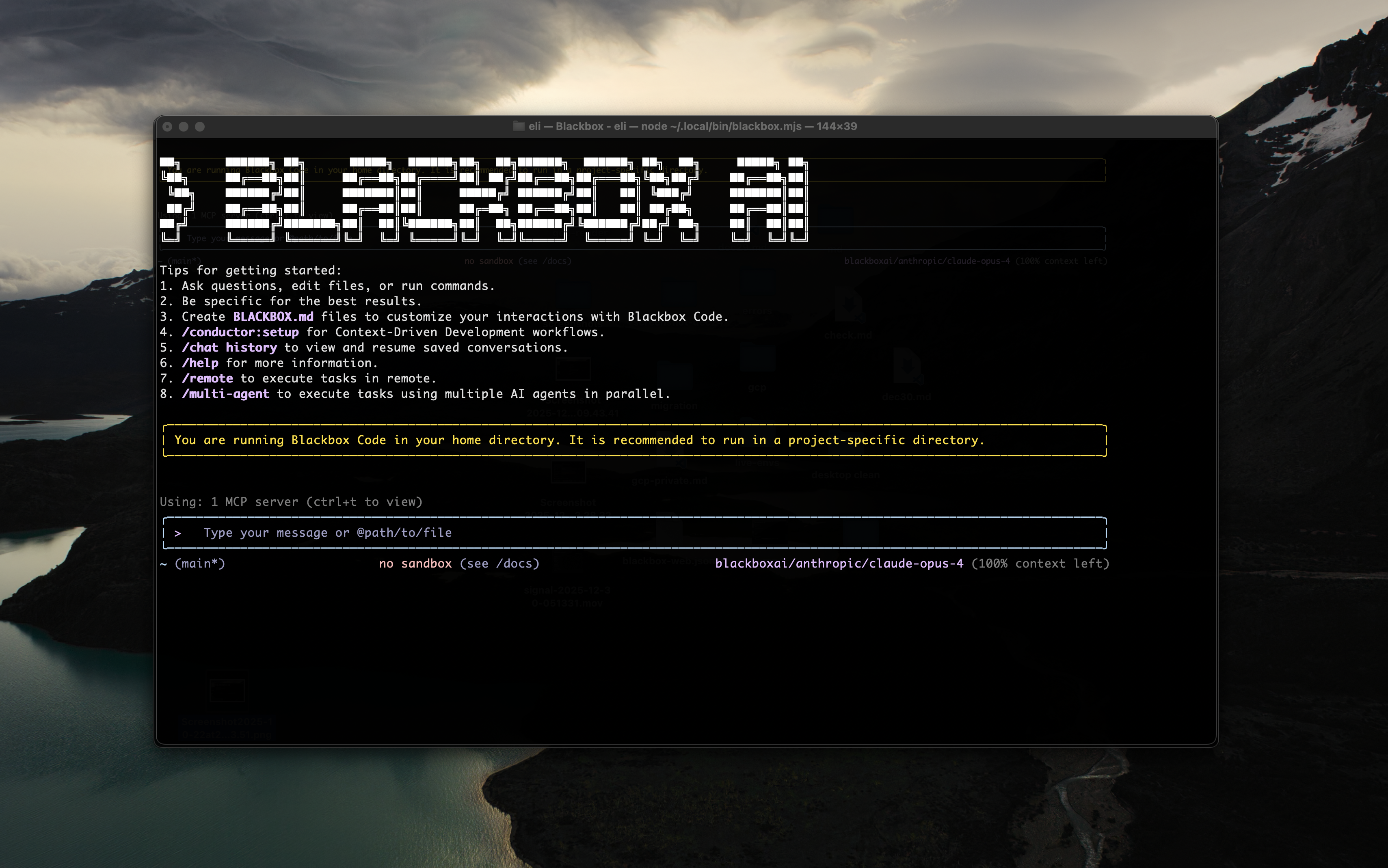 Blackbox Code Screenshot