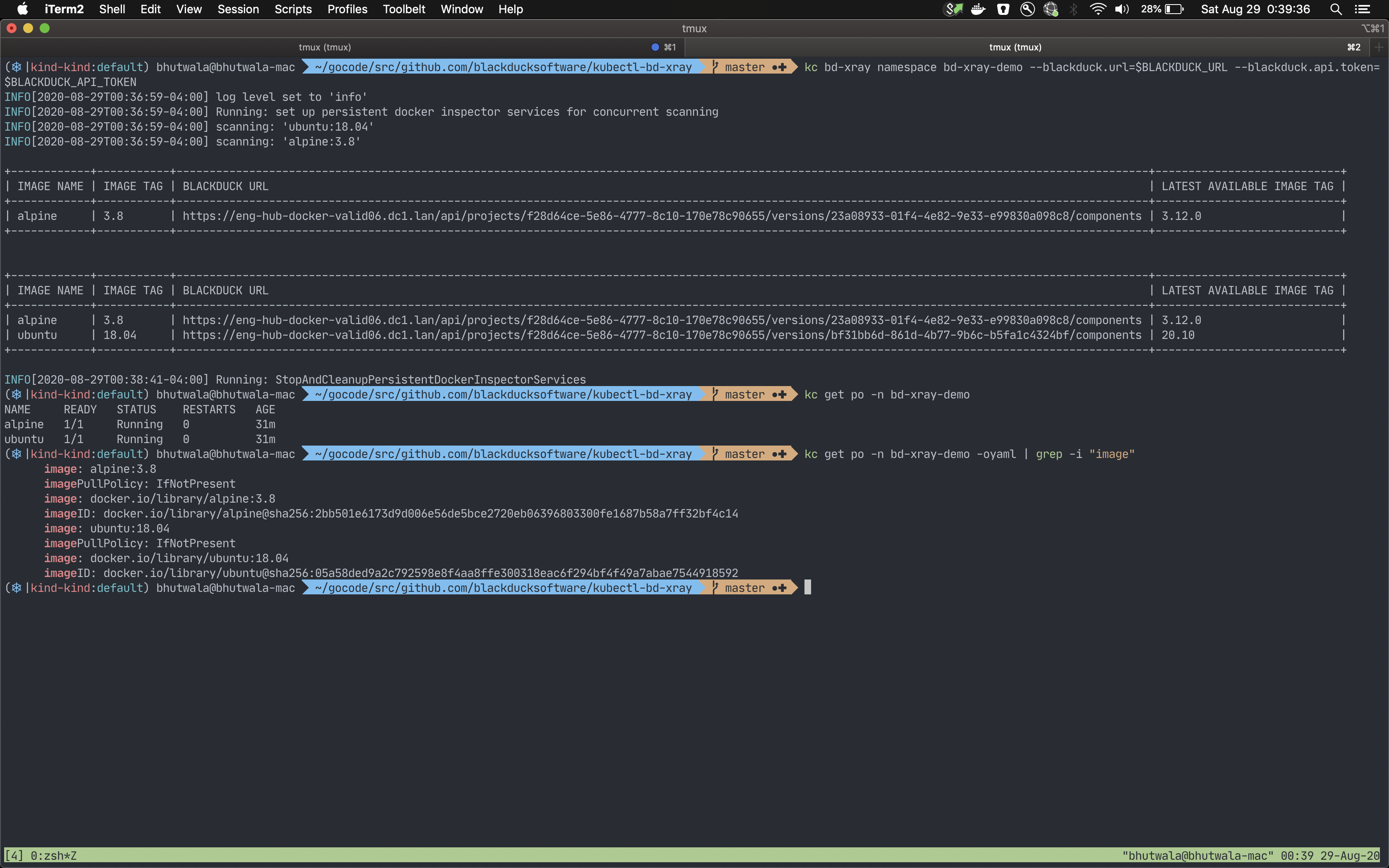 Image of bd-xray output table