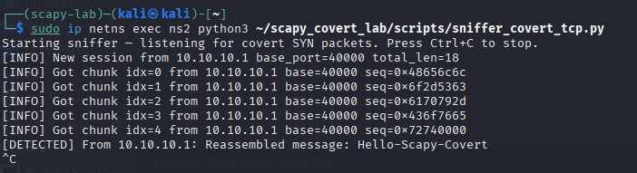 scapy lab