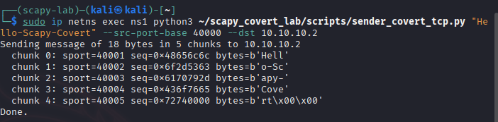 scapy lab solution