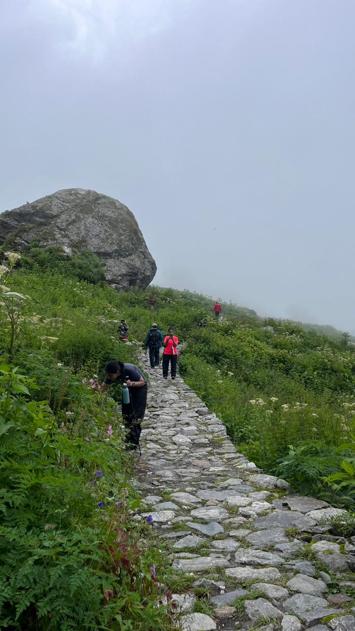Valley of Flowers Trek