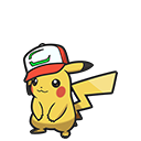 Partner Cap