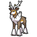Winter Form