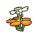 Orange Flower
