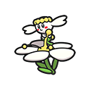 White Flower