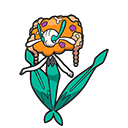 Orange Flower
