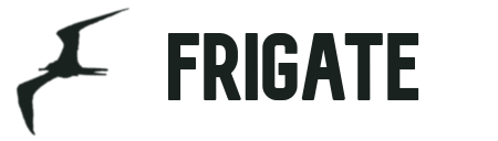 Frigate logo or screenshot