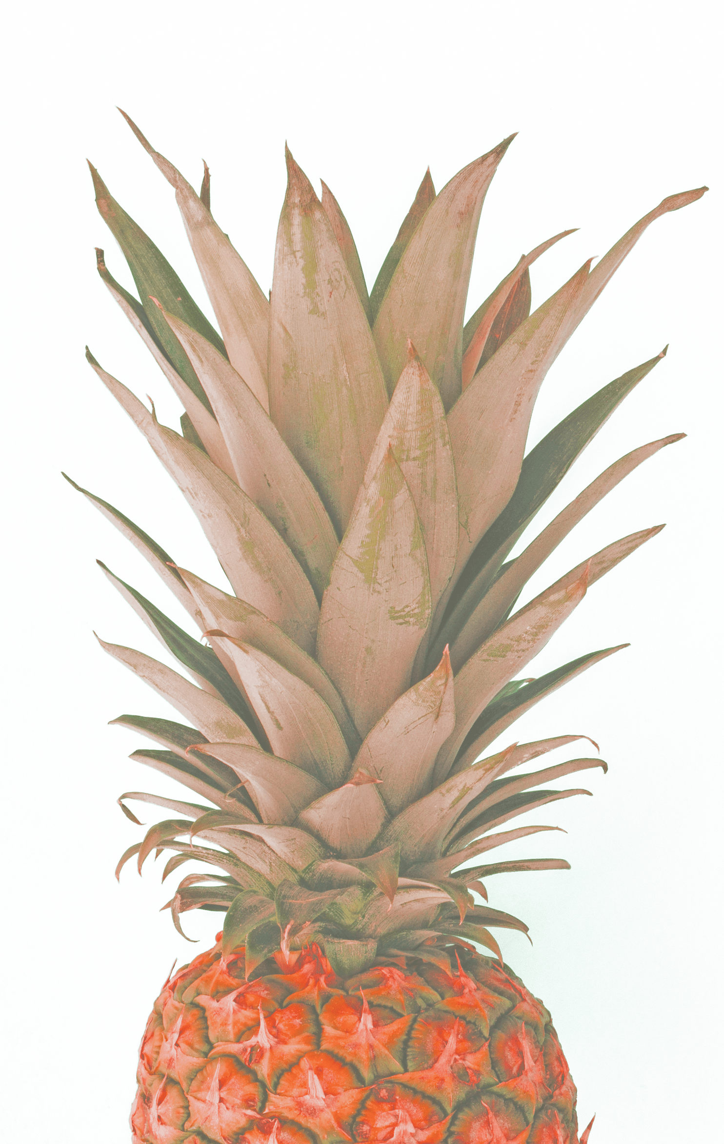 blue pinapple