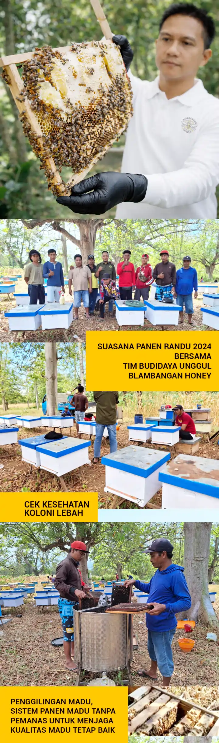 Dipanen Langsung dari Alam, Dijaga Tetap Murni