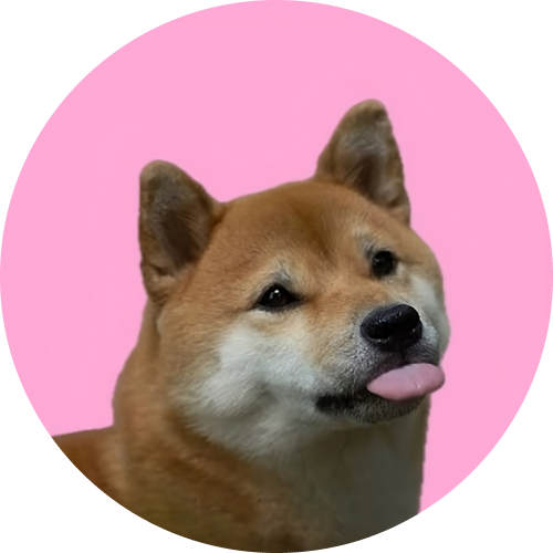 FINU icon
