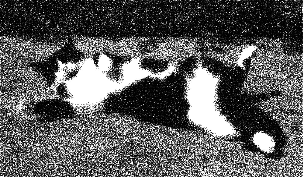 stylized image of cat
