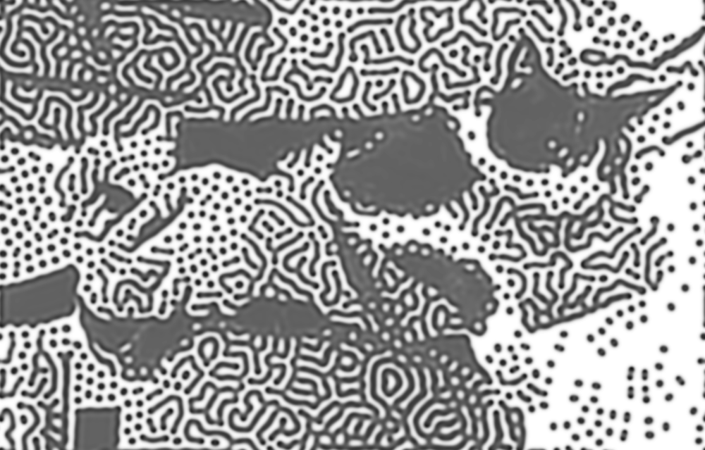 stylized image of cat
