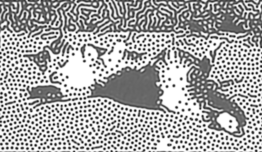 stylized image of cat