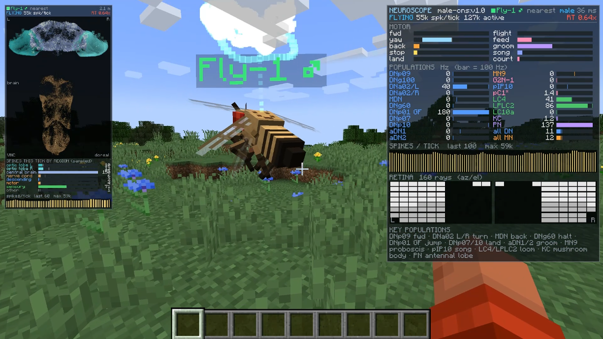Fly Brain Minecraft