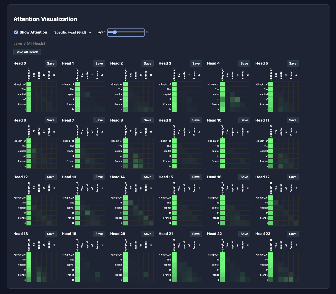 attention_visualization