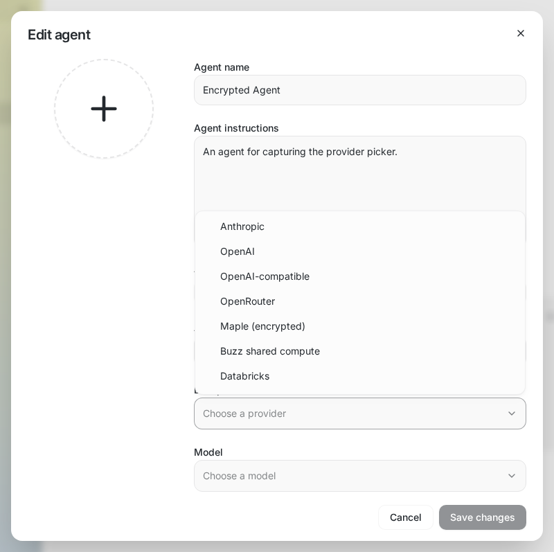 01-maple-provider-option