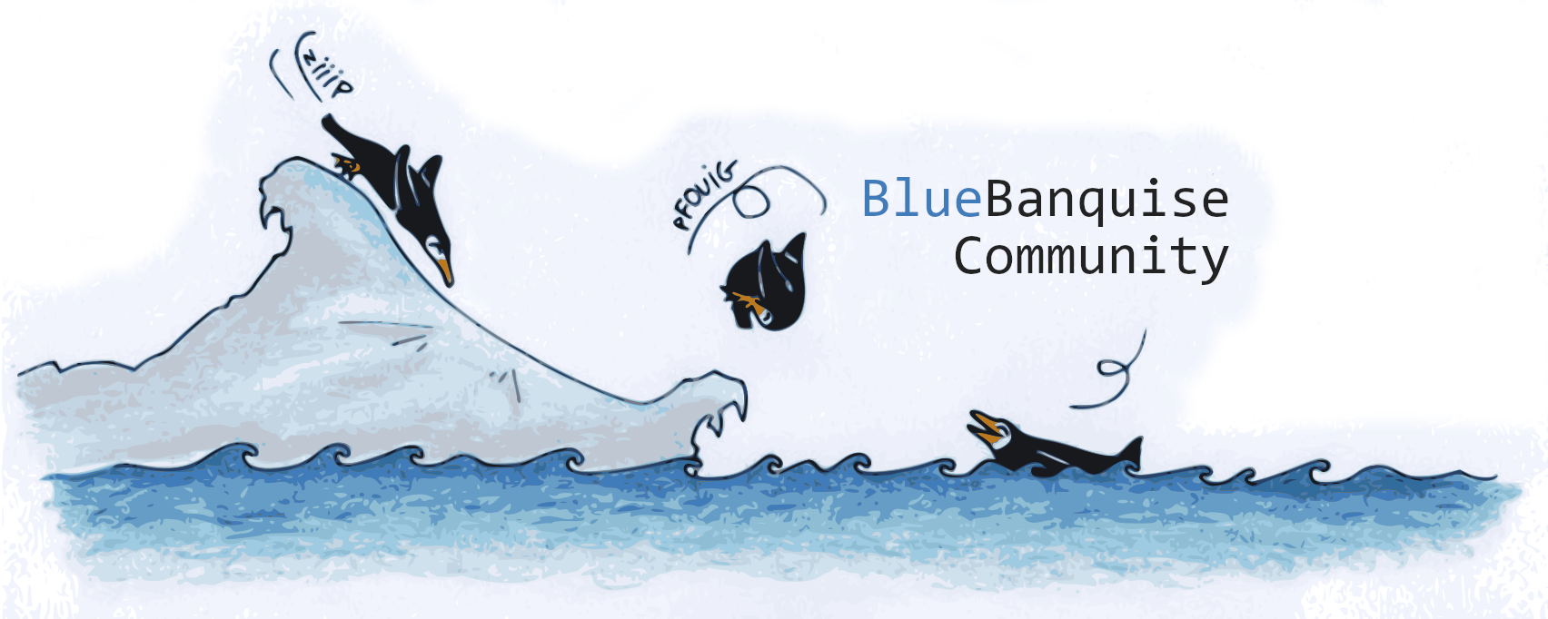 BlueBanquise Community