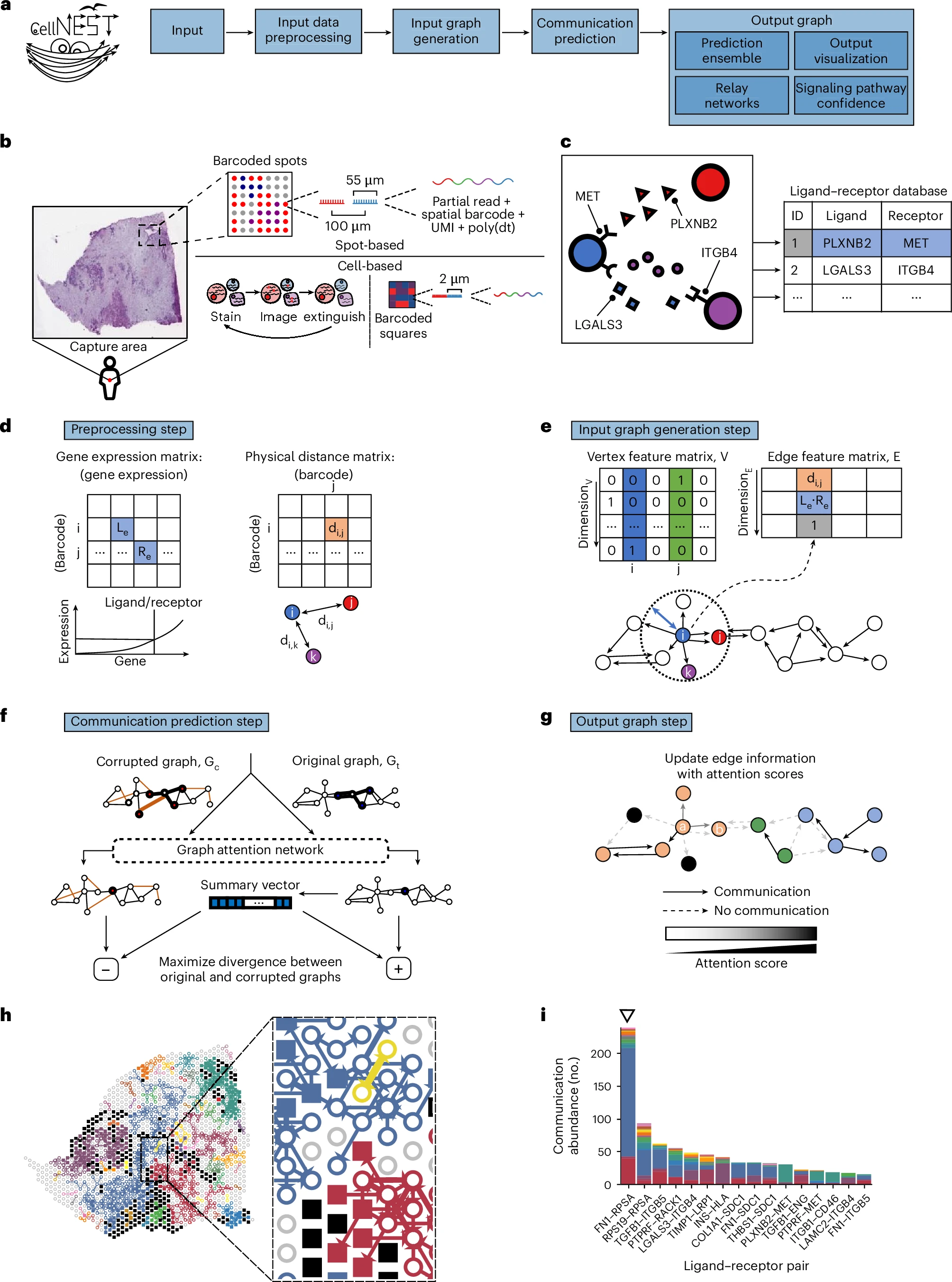 CellNEST: Cell-Cell Communication Networks
