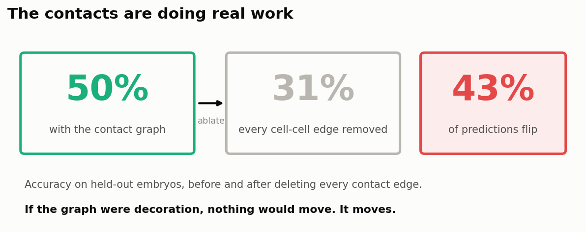 Accuracy drops from 50% to 31% and 43% of predictions flip when contact edges are removed