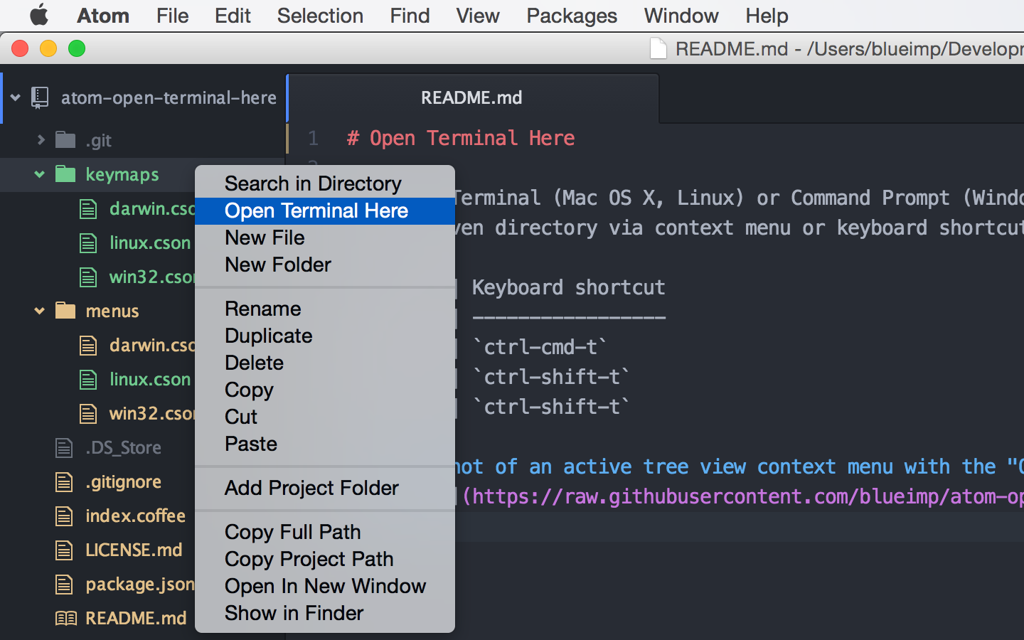 open terminal mac in folder