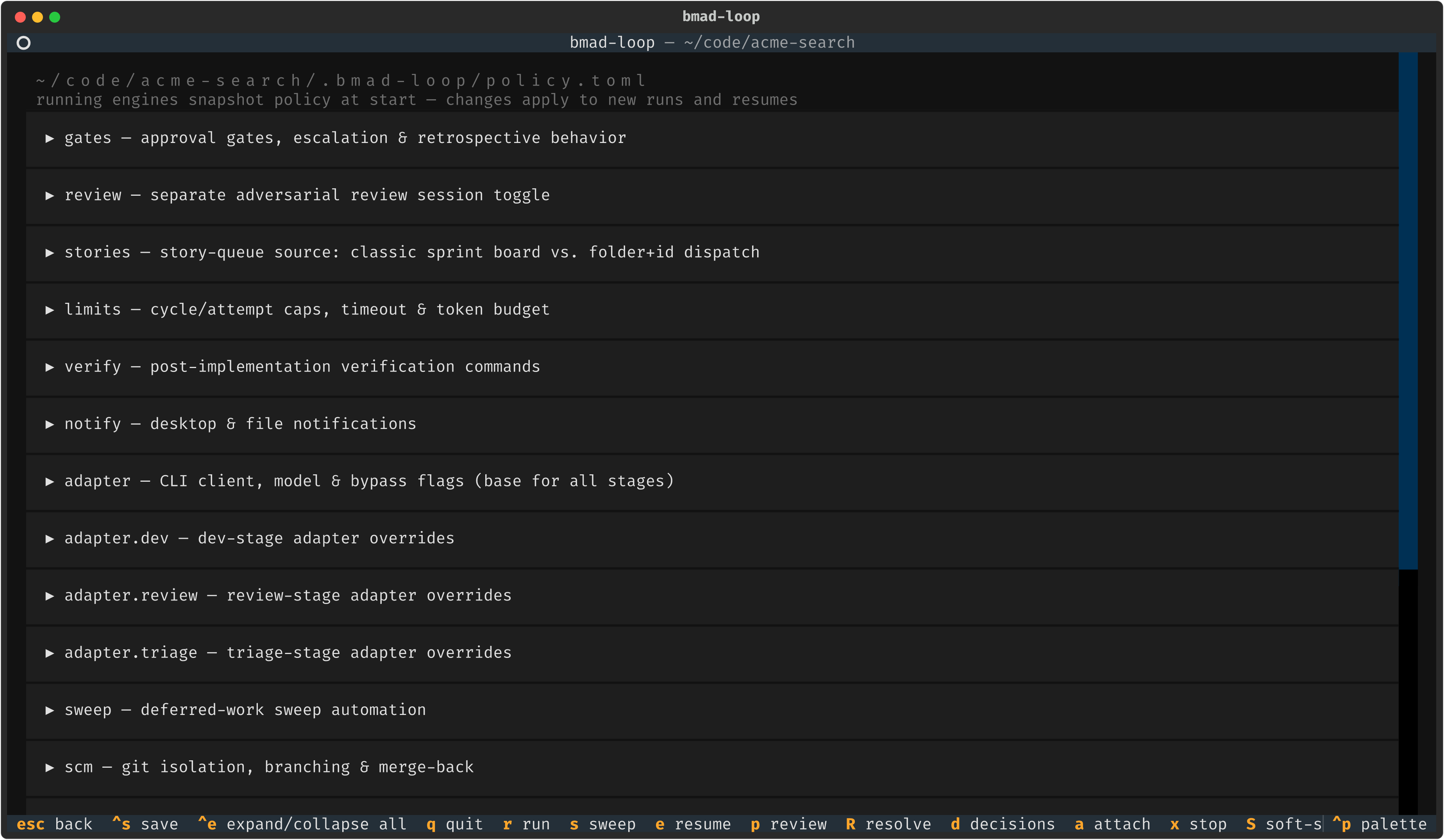 The settings screen editing .bmad-loop/policy.toml, grouped by section with defaults shown as placeholders.