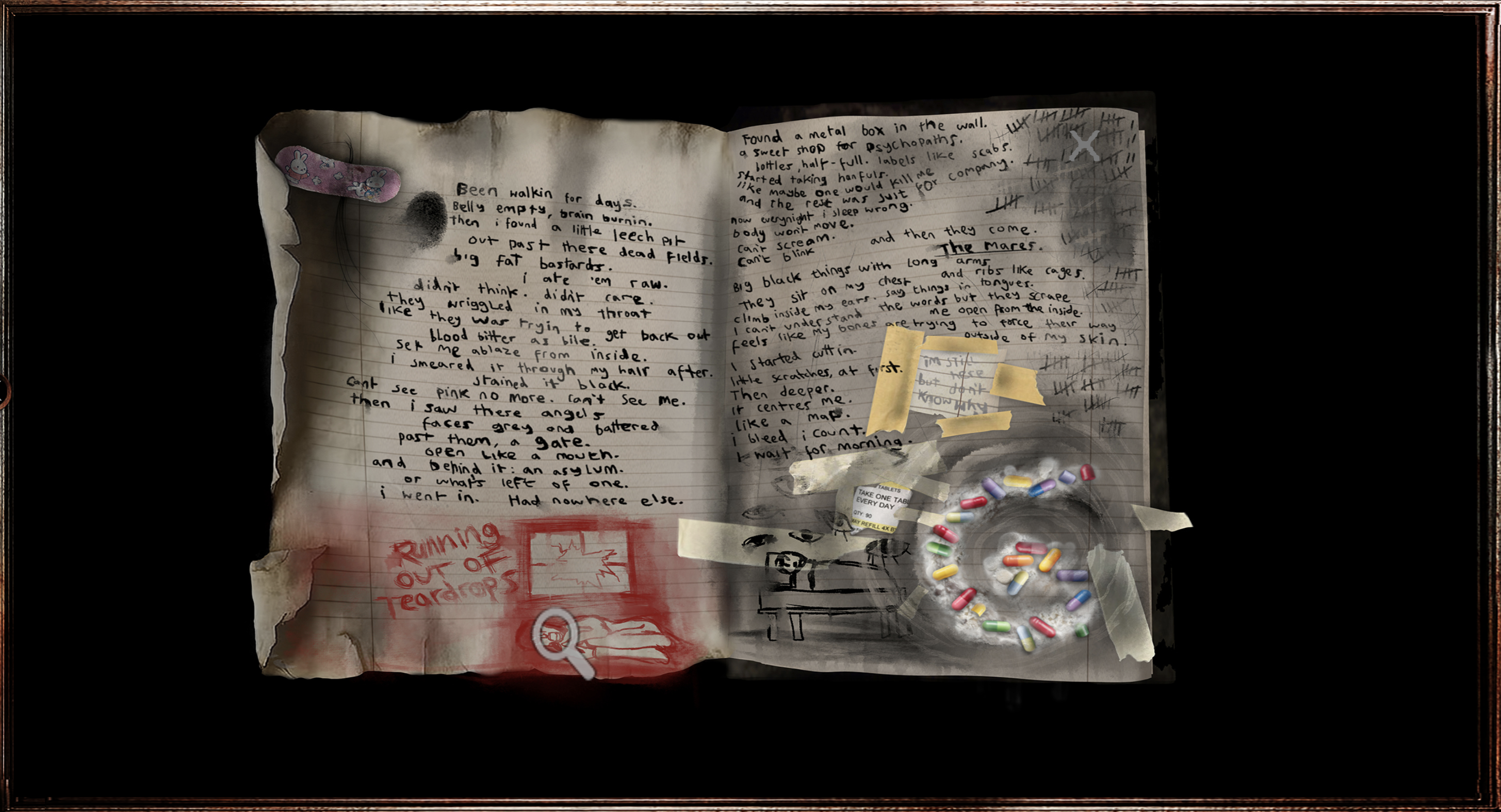 Skys' eighth diary entry