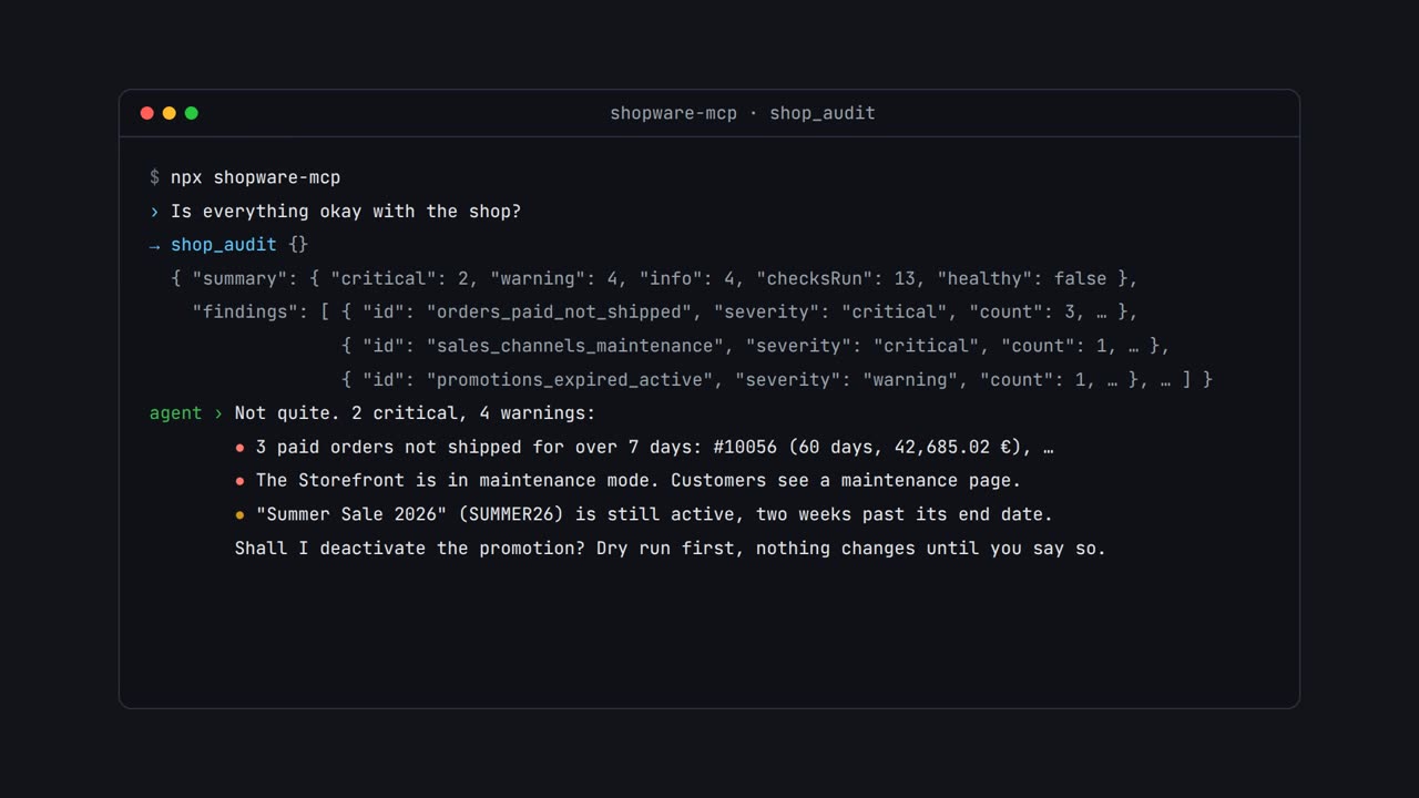 Thirty-second intro video: a real shop_audit answer in a terminal, the numbers, the safety model, how to install