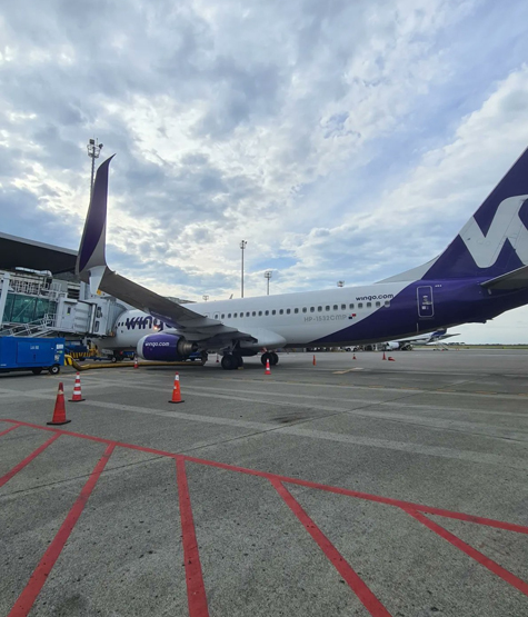 Wingo regresa a partir del 16 de enero 2026