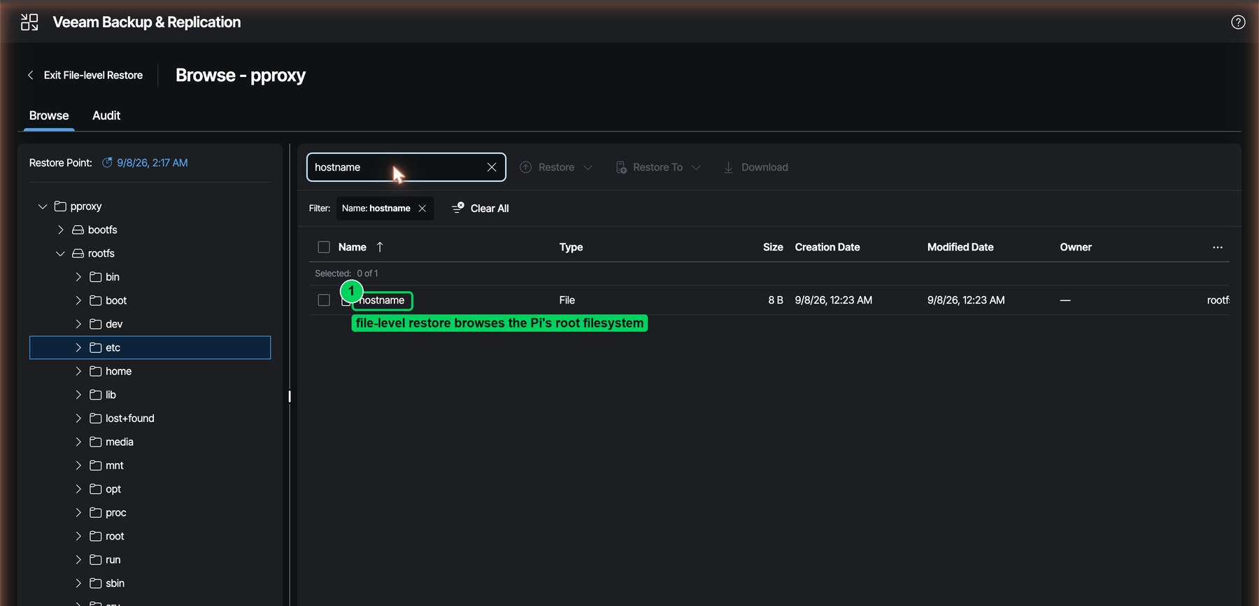 Figure 21. File-level restore of a Pi restore point: bootfs and rootfs, browsable like any other Linux agent backup.