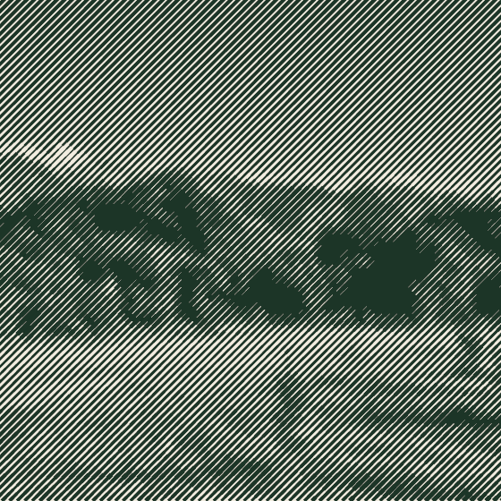 The same orchard through a line screen