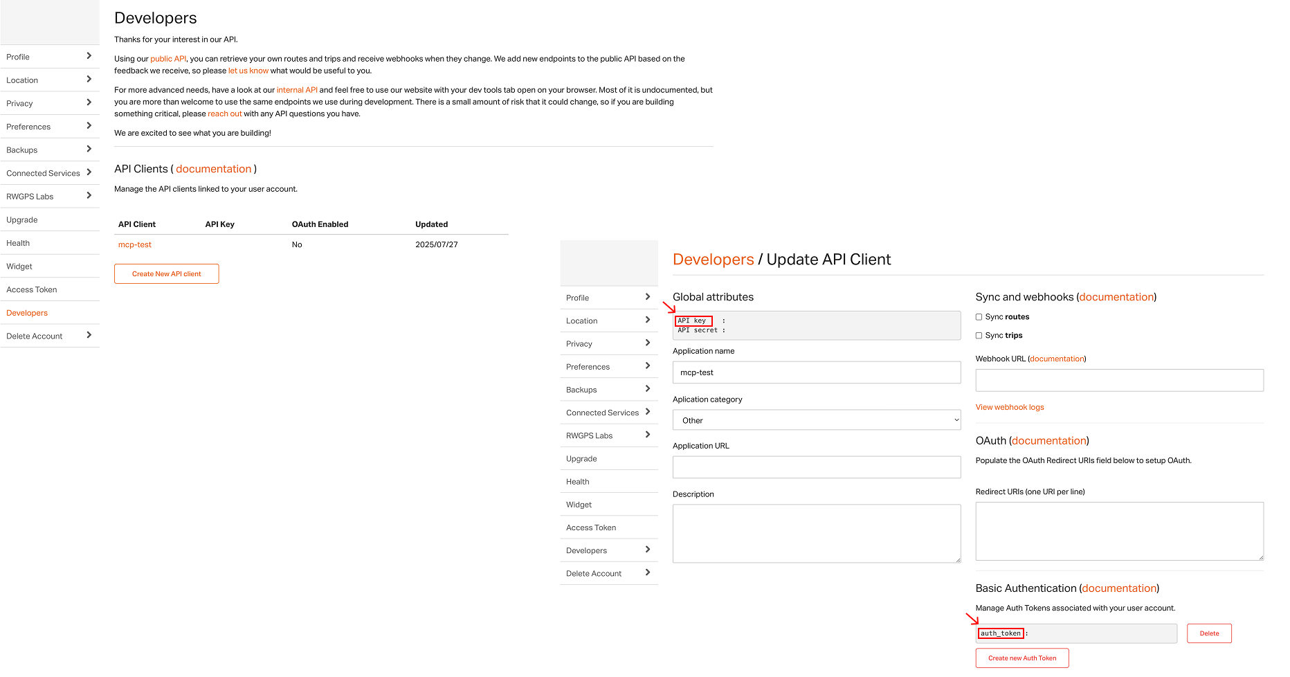 Access Token Instructions