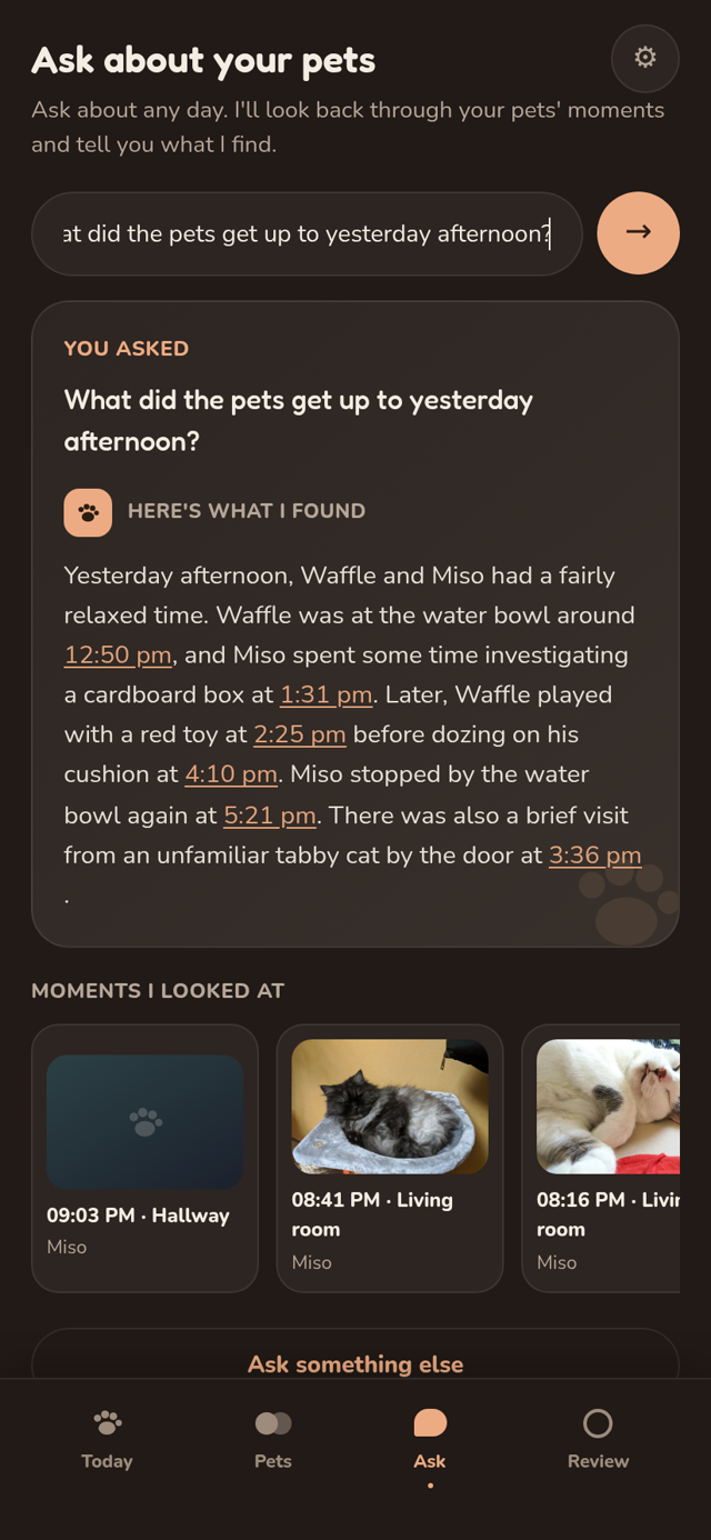 Ask: a free-form question answered from stored observations, with the moments it used