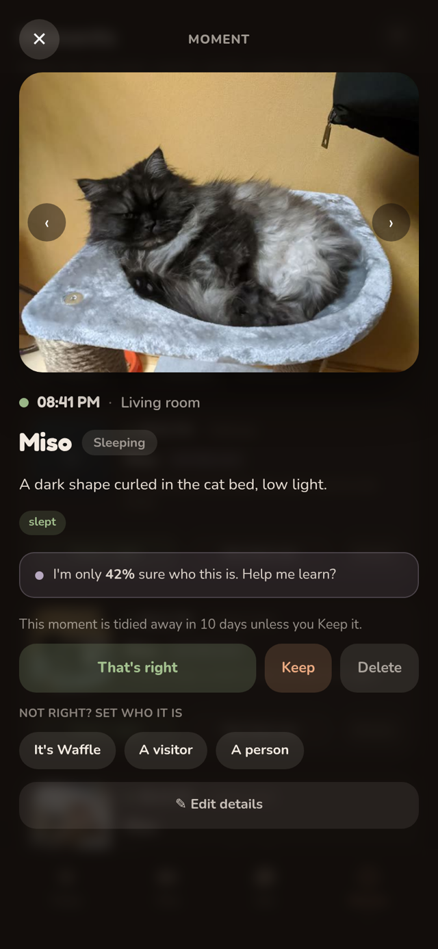 A moment opened: the photo, the model's confidence, and one-tap corrections