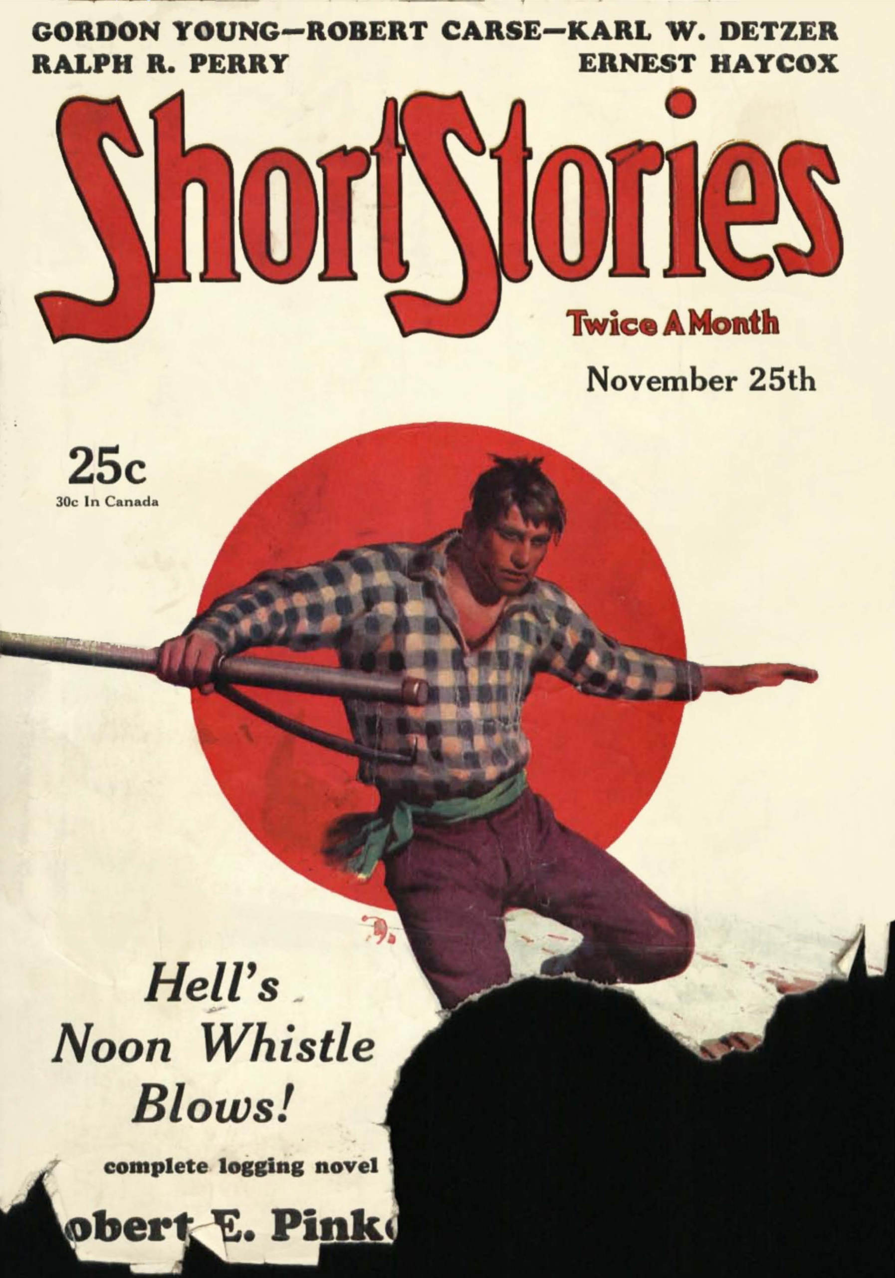 Cover of Bully McGrane