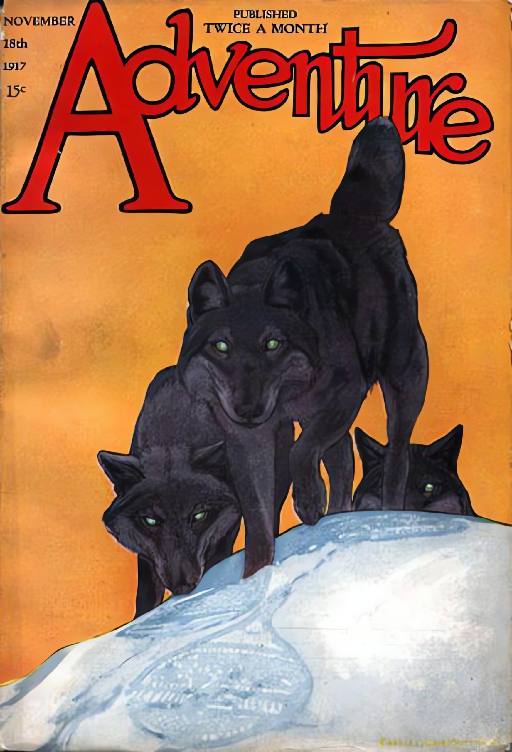 Cover of Cows is Cows