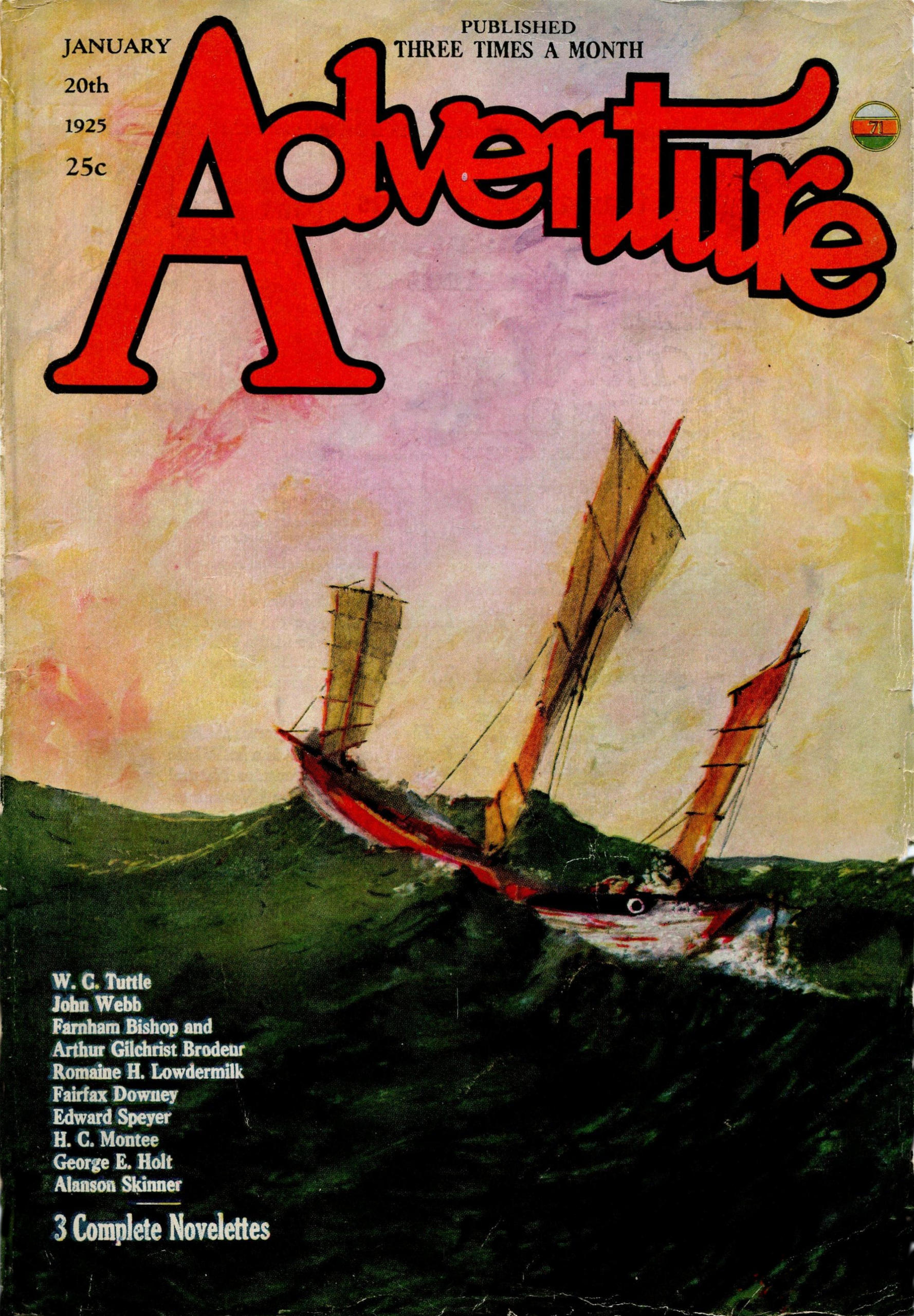 Cover of The Lovable Liar