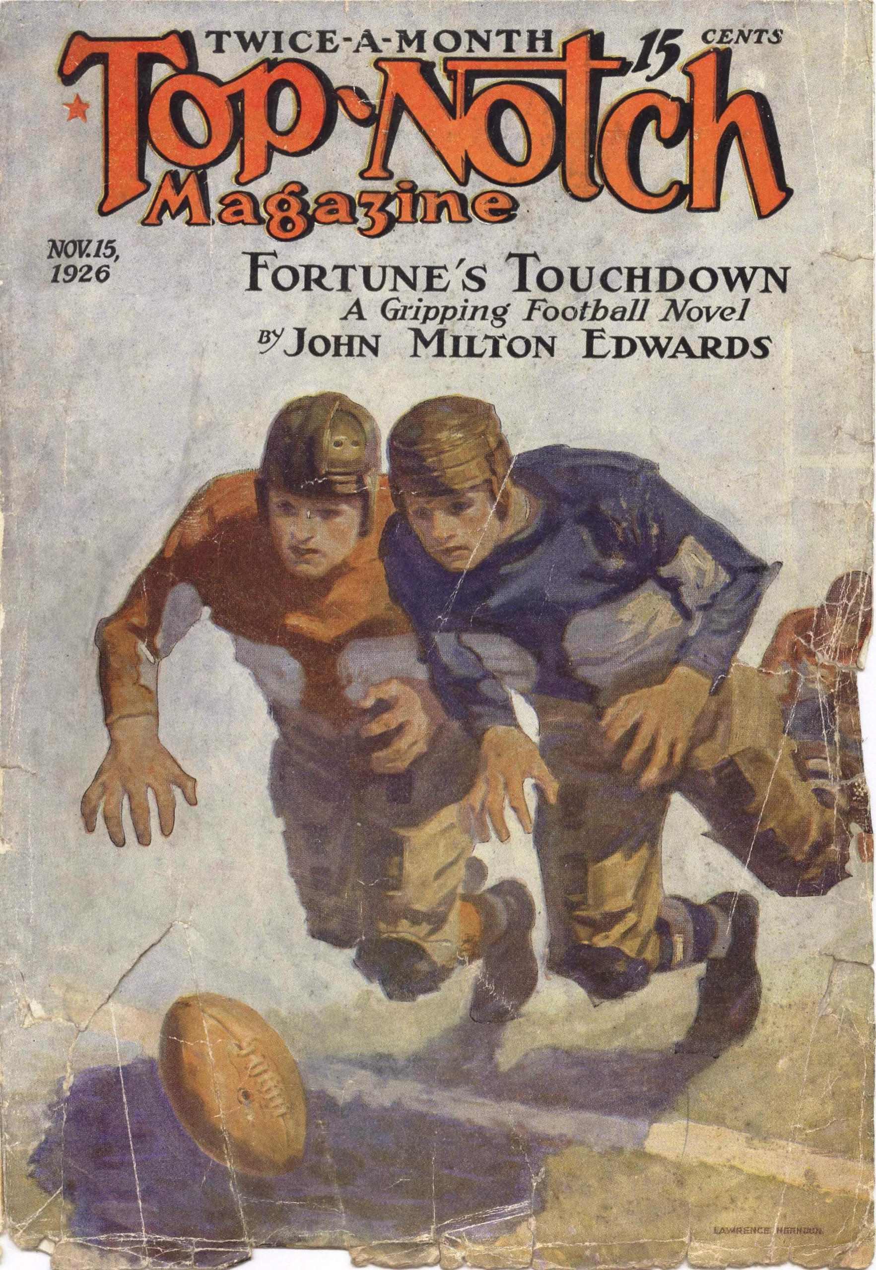 Cover of More Than Skin Deep