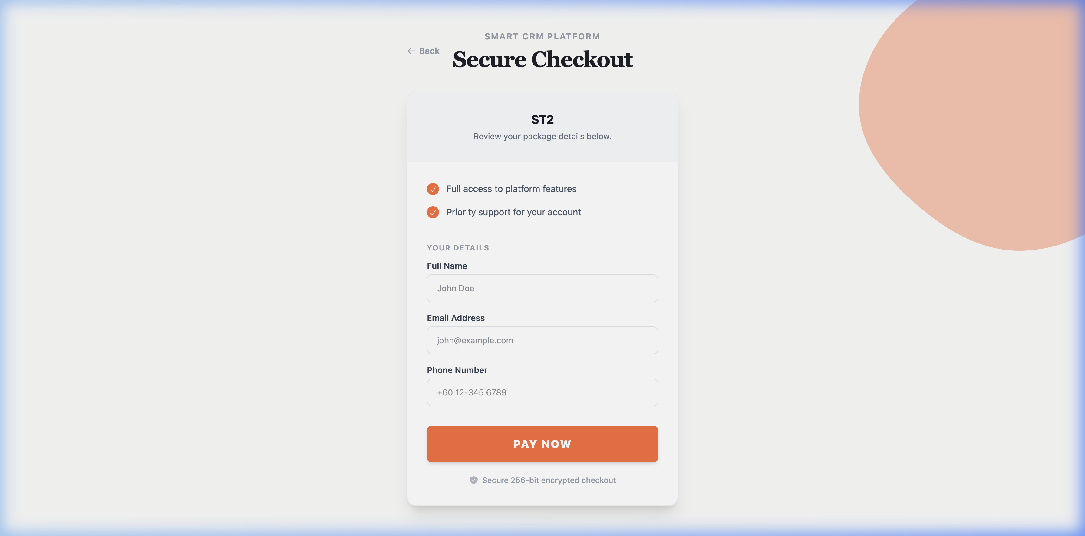 Secure Checkout Interface