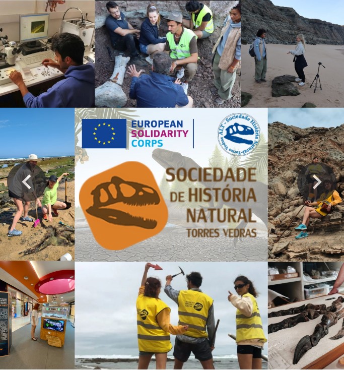 ESC Projects Poster