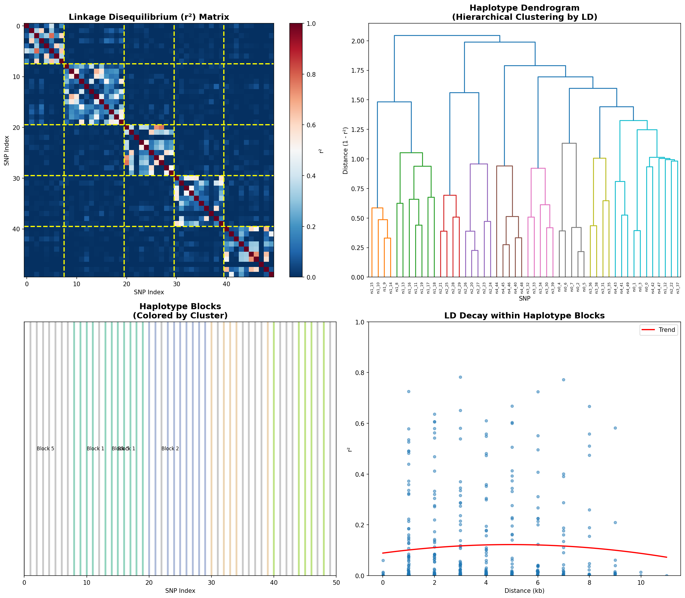 Haplotype Analysis