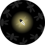 Firefly Image