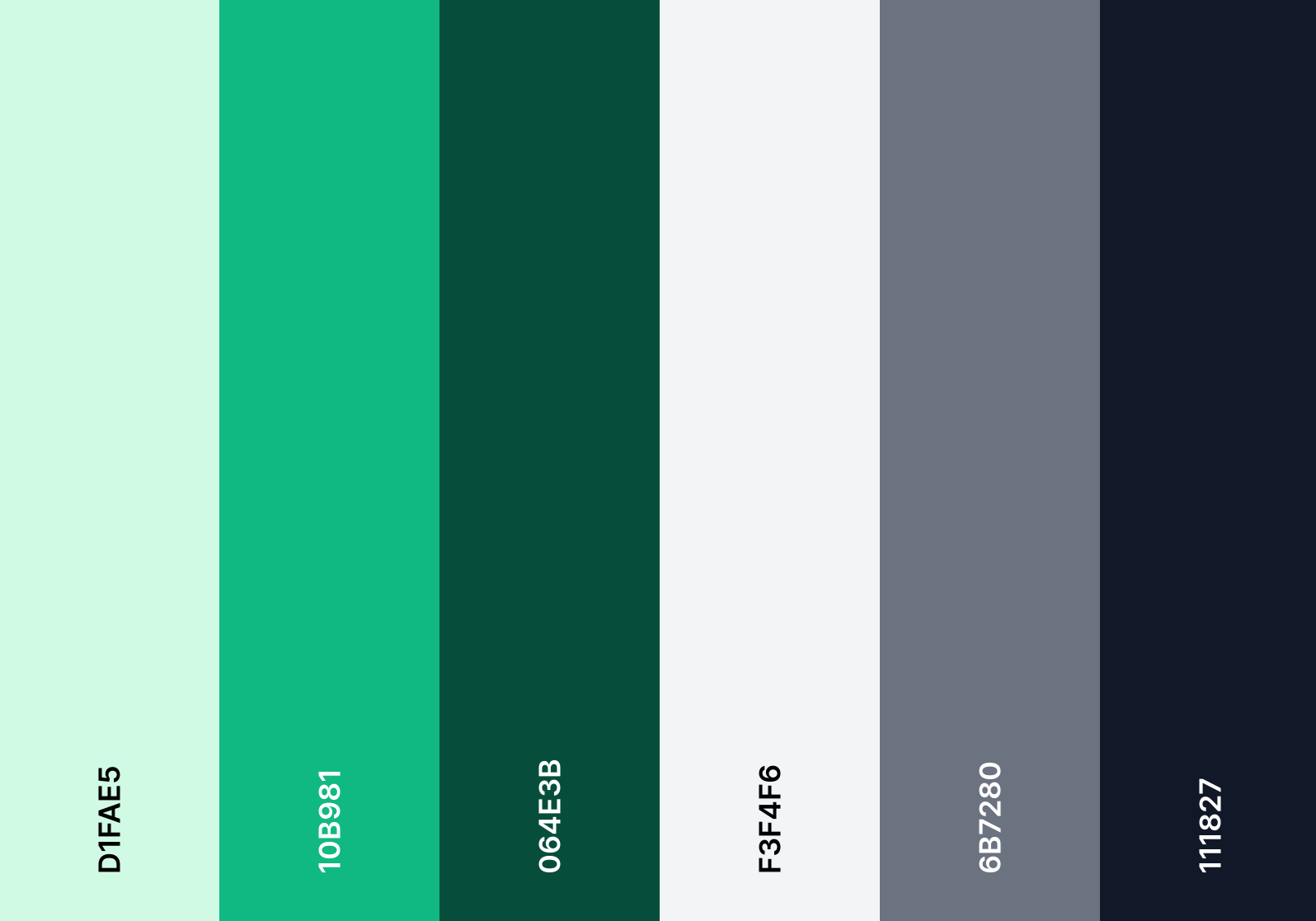 Colour Palette for Portfolio