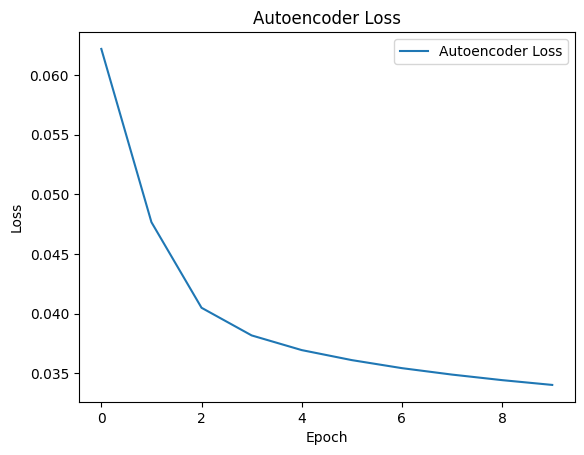 Autoencoder Loss