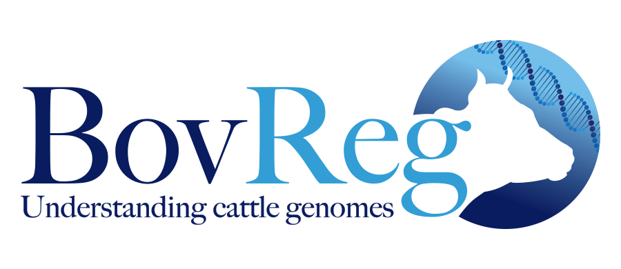 bovreg logo